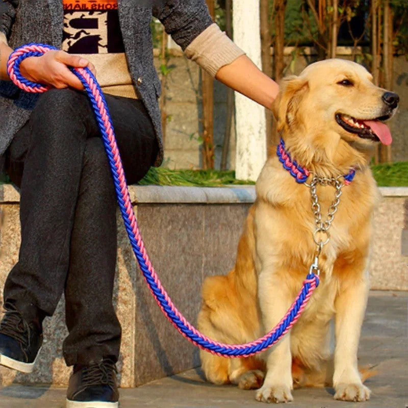 Collars, Leashes and Harnesses