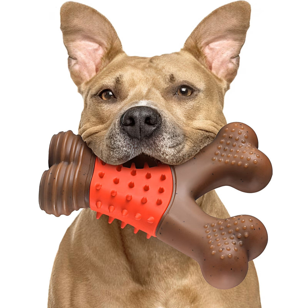 Dog And Cat Toys