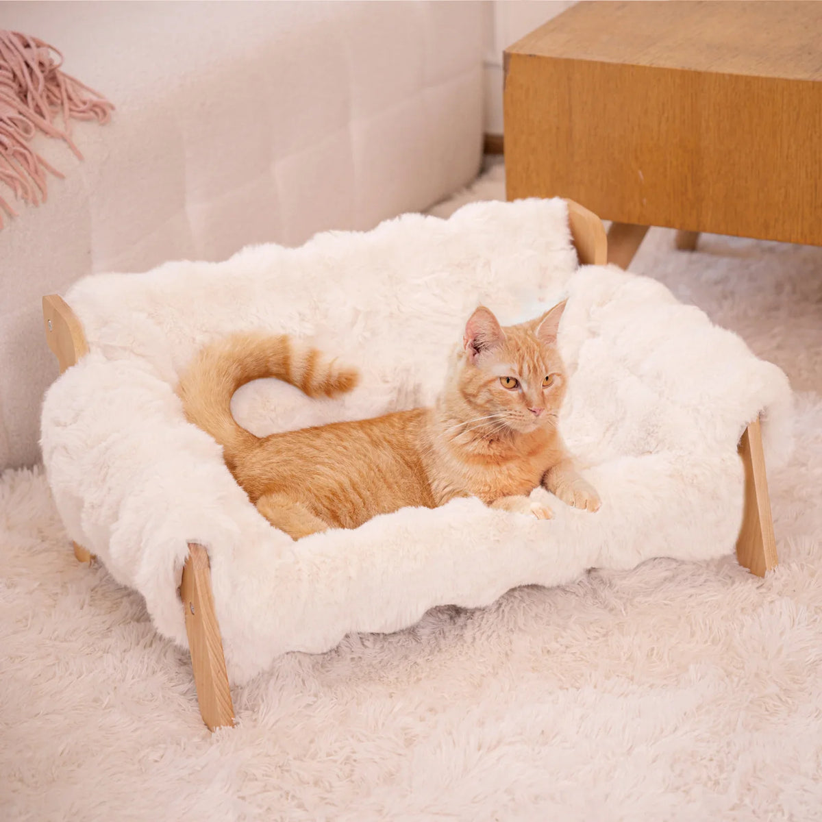 Pet Beds