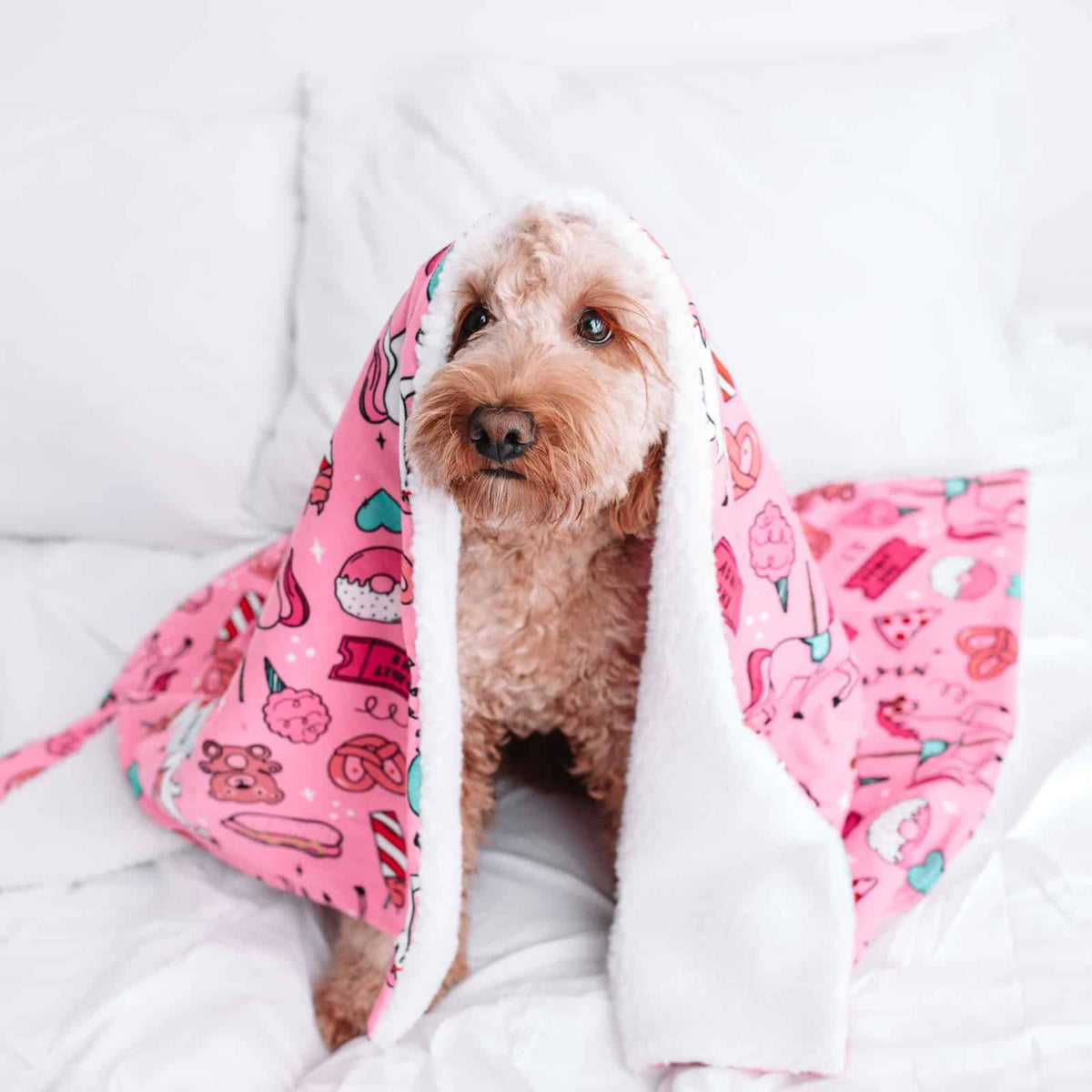 Pet Blankets